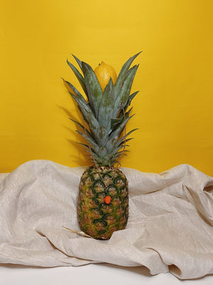 COLADA